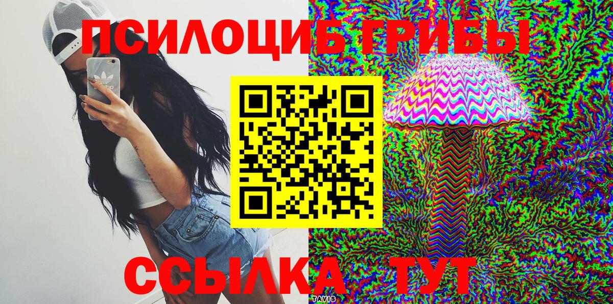 Воронеж  Псилоцибиновые грибы Cubensis  Вход с VPN 